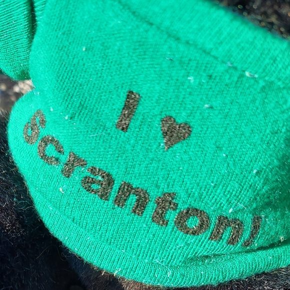 3for$19 Scranton University Stuffed Teddy Bear Plush - Picture 3 of 5